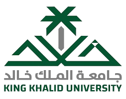 شركة 9